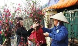 'Dị nhân đuổi mưa': Đừng chờ 30 Tết mới mua hoa