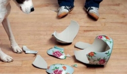 Tết Nguyên đán 2018: Những kiêng kỵ tuyệt đối nên nhớ để tránh xui cả năm