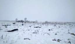 Vụ rơi máy bay ở Nga: Không có người Việt trong danh sách các nạn nhân