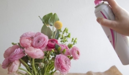 Bỏ những thứ này vào bình, hoa tươi suốt 10 ngày Tết mà không cần hóa chất