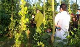 Phát hiện thi thể thai phụ mất tích 3 ngày chết trong tư thế treo cổ tại vườn tiêu gần nhà