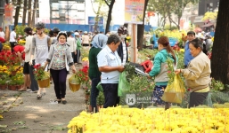 Clip: Không bán hết hàng trưa 30 Tết, nhiều tiểu thương tự tay đập nát chậu hoa, vứt vào thùng rác