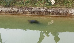 Nghệ An: Hoảng hốt phát hiện cụ ông tử vong bất thường trên sông, tay vẫn cầm con gà ngày 30 Tết