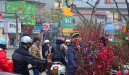 Người mua hoa lý giải việc phải chờ đến ngày 29, 30 Tết: 'Cũng vì nhiều người bán hét giá cao quá!'