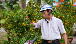 Bị đòi lại mặt bằng, tiểu thương trong công viên Hoàng Văn Thụ giảm giá hoa từ 1 triệu xuống 200 nghìn, tiếp tục ra vỉa hè bán đến giao thừa