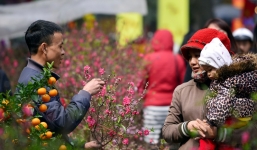 Thời tiết ngày mùng 2 Tết: Miền Bắc có nơi nóng 31 độ