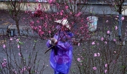 Bắc Bộ chuẩn bị đón không khí lạnh mạnh, trời rét đậm kèm mưa