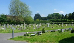 Bà cụ bị cướp tiền ngay trong nghĩa trang, 1 tuần sau đó, con trai tên cướp xuất hiện với một lời đề nghị