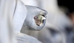 Hình ảnh người dân chen chúc nhét tiền, xoa tượng phật tại chùa Bái Đính