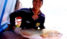 Bắt được cá 6 kg nghi cá sủ vàng quý hiếm ở miền Tây