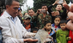 'Cá thần' sắp bị om dưa sau 5 ngày ngụp lặn gây xôn xao dư luận