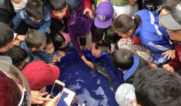 'Cá thần' thì cũng om dưa: Thiên nhiên còn gì để nảy nở, sinh sôi?