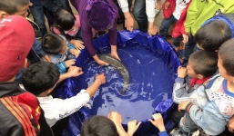 Om dưa 'cá thần': Câu trả lời thích đáng cho ai cố gieo rắc, đồn thổi thánh thần