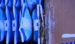 Tá hỏa phát hiện dòi trong thùng sữa TH True Milk