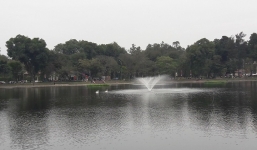 Sau Tết đàn thiên nga ở Hà Nội có biểu hiện “lạ”?