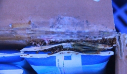 Vụ phát hiện dòi trong thùng sữa: Đại diện TH True Milk xin lỗi khách hàng