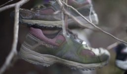 Khu rừng bí ẩn ở Canada: Hàng trăm đôi sneakers bị đóng đinh lên cây, không ai biết lý do vì sao