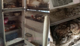 Quay về nhà trọ sau Tết, chàng trai 'đứng hình' khi mở tủ lạnh ra