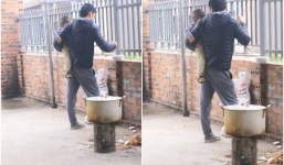 Hình ảnh ông bố dỗ dành đút cháo cho con khiến nhiều chị em ngưỡng mộ: 'Chỉ thiếu mỗi ti để cho con bú còn đâu chồng làm được tất'