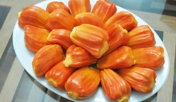 Chuyên gia xác nhận loại quả có thể cứu đói cả triệu người, và Việt Nam có rất nhiều