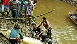 Người dân mổ bụng cá sấu dài 6 mét, kinh hãi phát hiện tay chân người bên trong