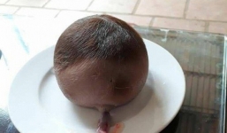 Bò đẻ ra một 'vật lạ' to như đầu trẻ sơ sinh sau khi sinh con xong gây xôn xao