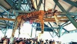 Phẫn nộ hổ quý bị đâm chết rồi treo xác 