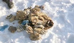 Kinh hoàng phát hiện 54 bàn tay người bị chặt đứt lìa gần biên giới Trung Quốc