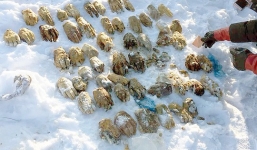 'Tìm ra nguồn gốc' 54 bàn tay người ở Nga