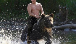 Vỡ lẽ sự thật bức ảnh Putin cưỡi gấu gây xôn xao dư luận