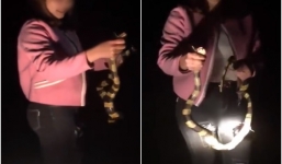 Clip: Cô gái thản nhiên dùng tay không bắt rắn cạp nong cực độc ngay giữa đường khiến nhiều người thót tim sợ hãi