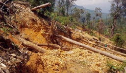 Vụ hai phóng viên bị lột quần áo: Hội Nhà báo yêu cầu xử lý nghiêm