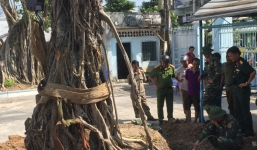 Tá hỏa phát hiện 40 quả pháo dưới gốc cây bồ đề