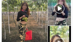 Quay clip ngửa cổ ăn nho ngay trên giàn còn tố chủ vườn bán đắt, nữ phượt thủ bị 'ném đá' tơi bời