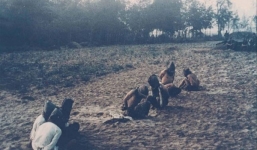 50 năm thảm sát Mỹ Lai: Quá nhiều đau đớn và ám ảnh trong những bức hình