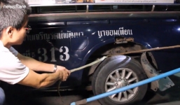 Video: Xe khách bị chặn giữa đường vì trăn lớn cuộn tròn trong bánh sau