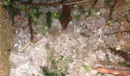 Clip mưa đá trắng trời ở Mộc Châu gây xôn xao mạng xã hội