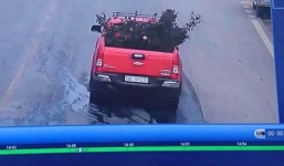 Vụ cây hoa hồng gần 20 năm tuổi ở Sơn La bị ăn trộm: Thông tin bất ngờ từ chiếc xe bán tải màu đỏ