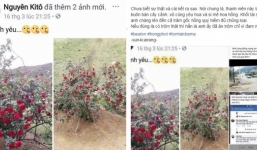 Bị chửi vì cắp cây hoa hồng cổ 10 năm, chàng trai lên tiếng