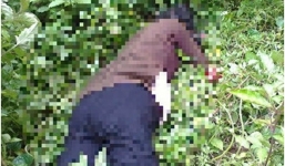 Nguyên nhân đau lòng vụ nghịch tử chém mẹ 99 tuổi tử vong