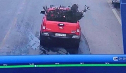 Công an trích xuất camera truy tìm ô tô trộm cây hoa hồng cổ gần 20 tuổi