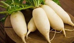 Được ví như 'nhân sâm trắng' chỉ 3 - 5 nghìn đồng/kg ở Hà Nội nhưng cực tốt