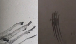 Clip: Ám ảnh những vết bàn tay quẹt trên tường trong chung cư Carina sau vụ cháy chung cư cao cấp