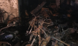 Chỉ định người điều hành thay Chủ tịch phường tử vong do cháy chung cư Carina