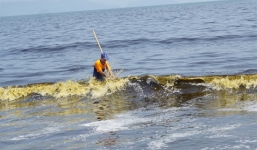 5km ven biển Đà Nẵng bất ngờ chuyển màu đen như dầu nhớt, bốc mùi hôi tanh