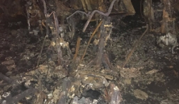 Công an TP HCM: Vụ cháy chung cư Carina là sự cố, loại trừ khả năng cài đặt gây nổ