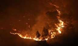 Xác thực thông tin cháy rừng ở TP. Vũng Tàu lúc nửa đêm