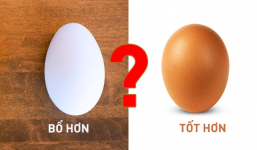 Trứng gà hay trứng vịt tốt hơn: Vì hiểu sai nên nhiều người đã bỏ phí cơ hội bồi dưỡng