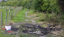 Công bố video kinh hoàng trong vụ cô gái Việt bị hãm hiếp, thiêu sống ở Anh 