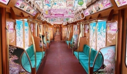 Chuyến tàu hoa anh đào có một không hai tại Nhật Bản: May mắn lắm mới lên được, nghìn chuyến chỉ có 1 khoang đẹp như mơ